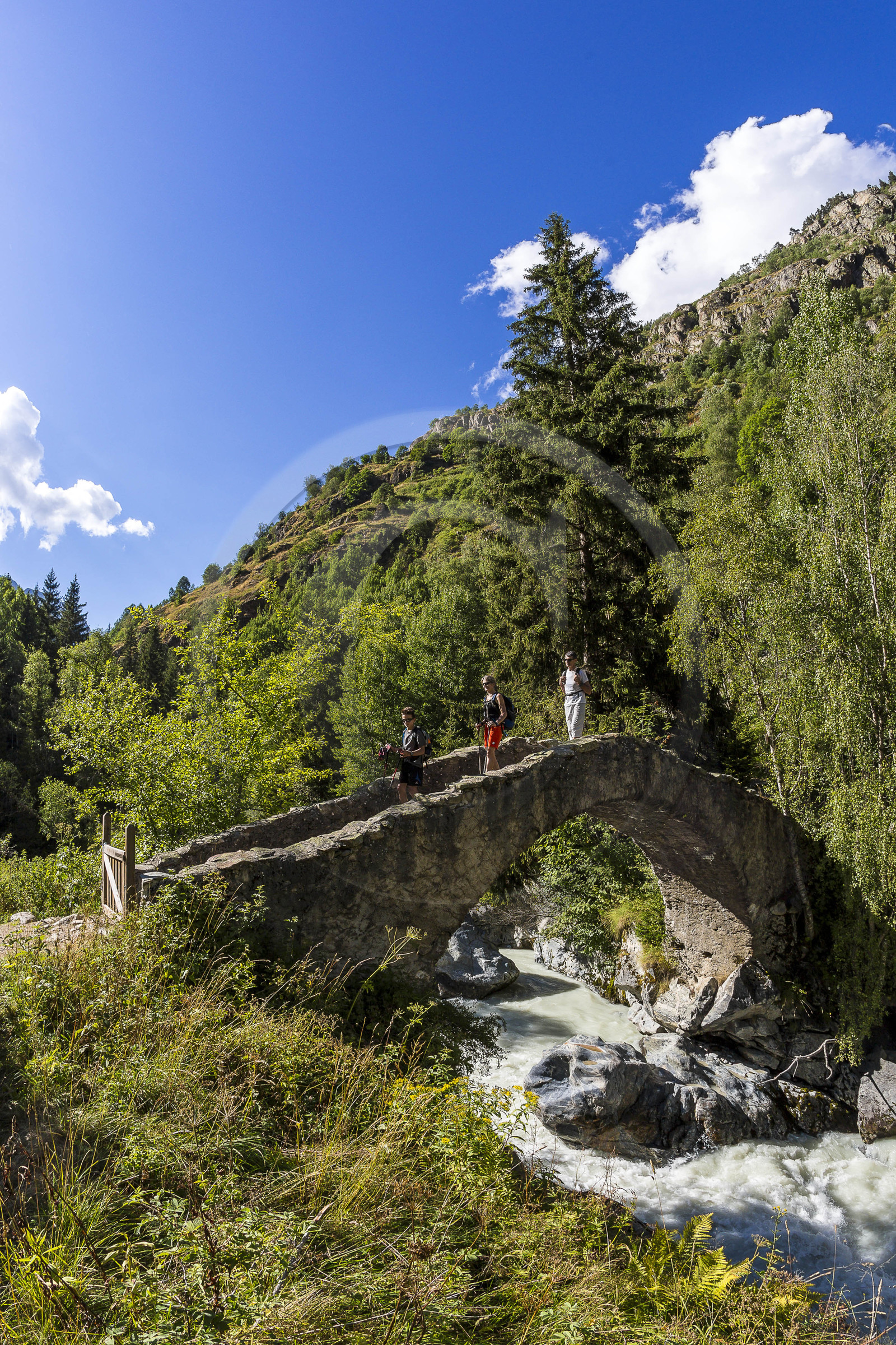 Randonnée pédestre