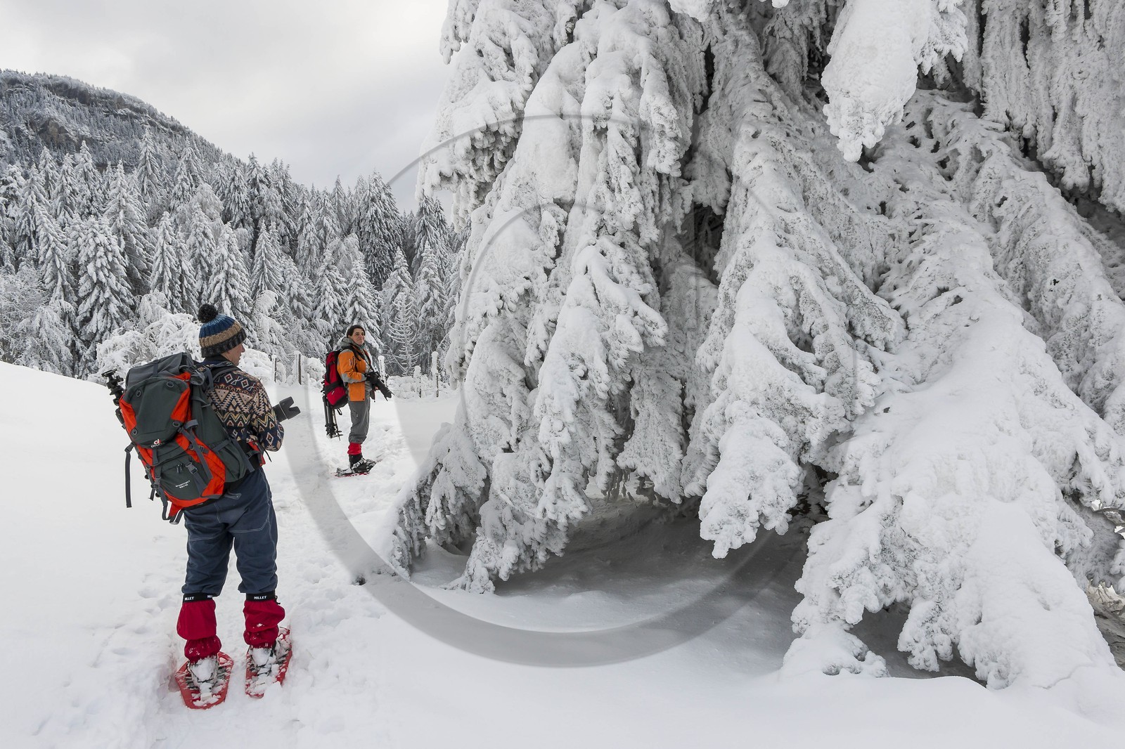 ENS de l'Isère, Les Ecouges