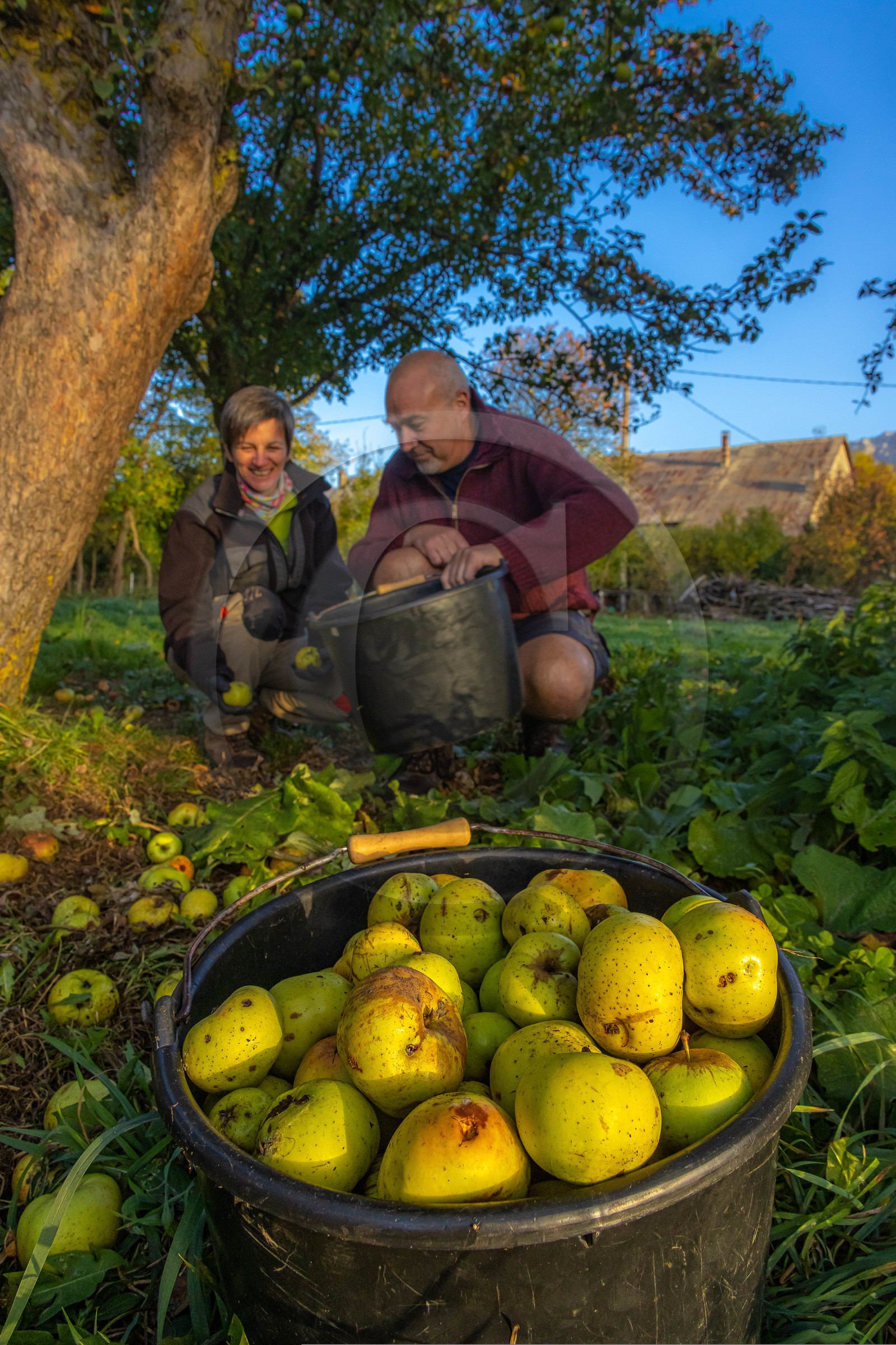 Etablissement Gayral, producteur de jus