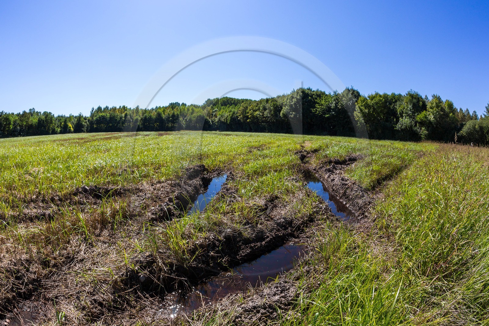 ENS de l'Isère, Les Fontaines de Beaufort