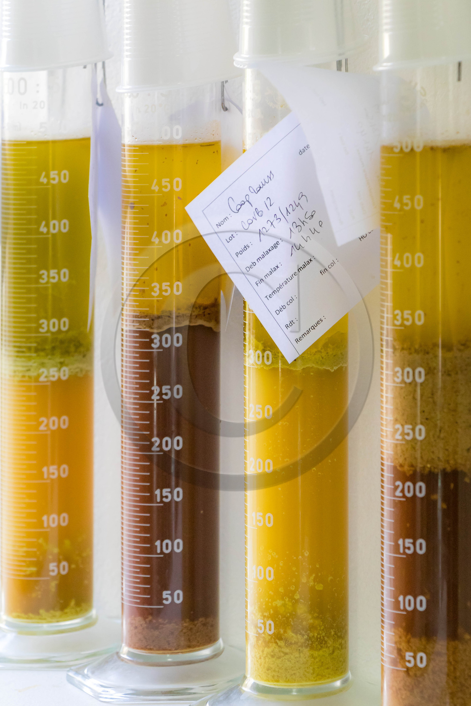 Syndicat interprofessionnel de l'olivier de la vallée des Baux de Provence