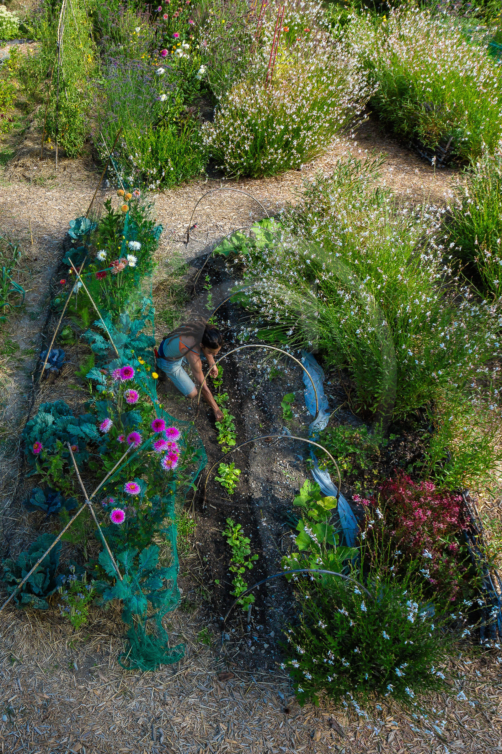 Parc écologique Terre Vivante