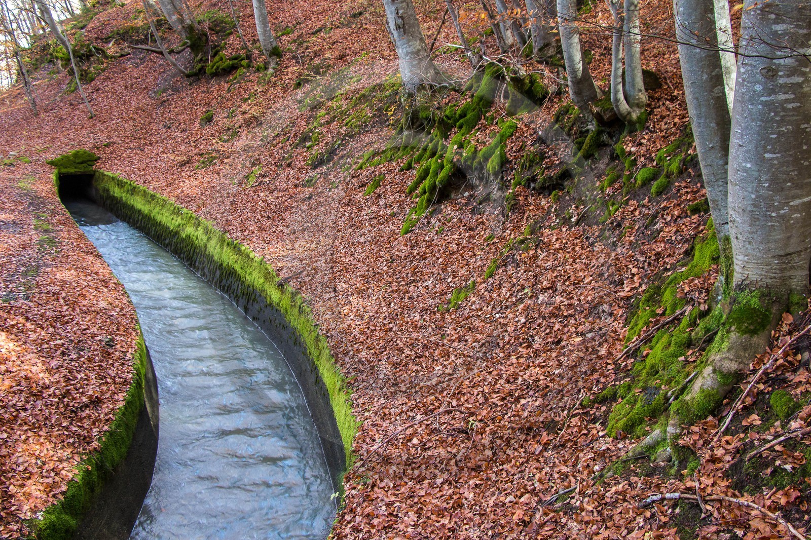 Canal du Beaumont au dessus du hameau les Angelas