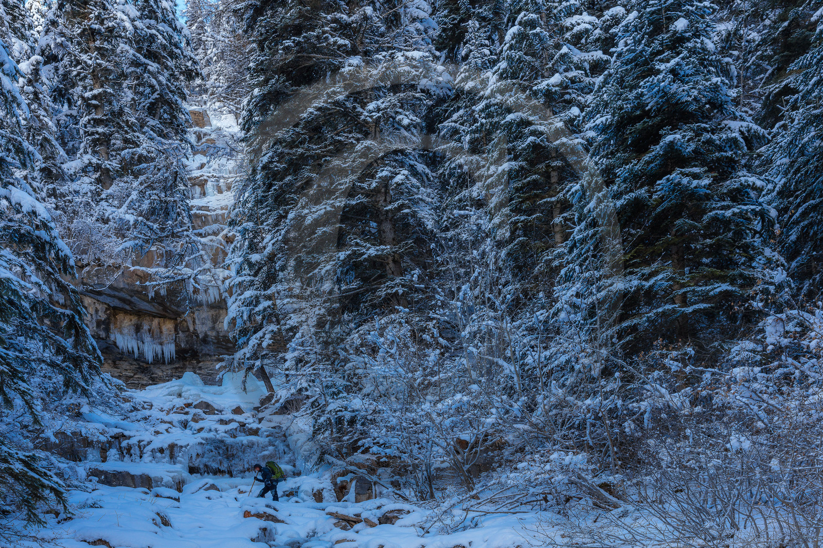 Film : La vallée des loups