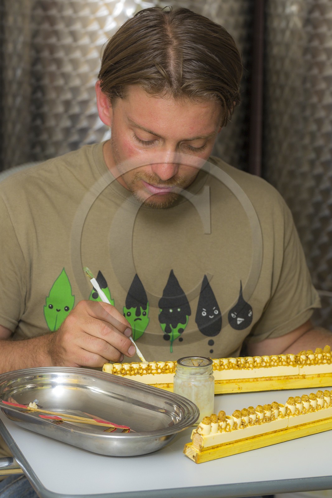 Mathieu Picavet, apiculteur