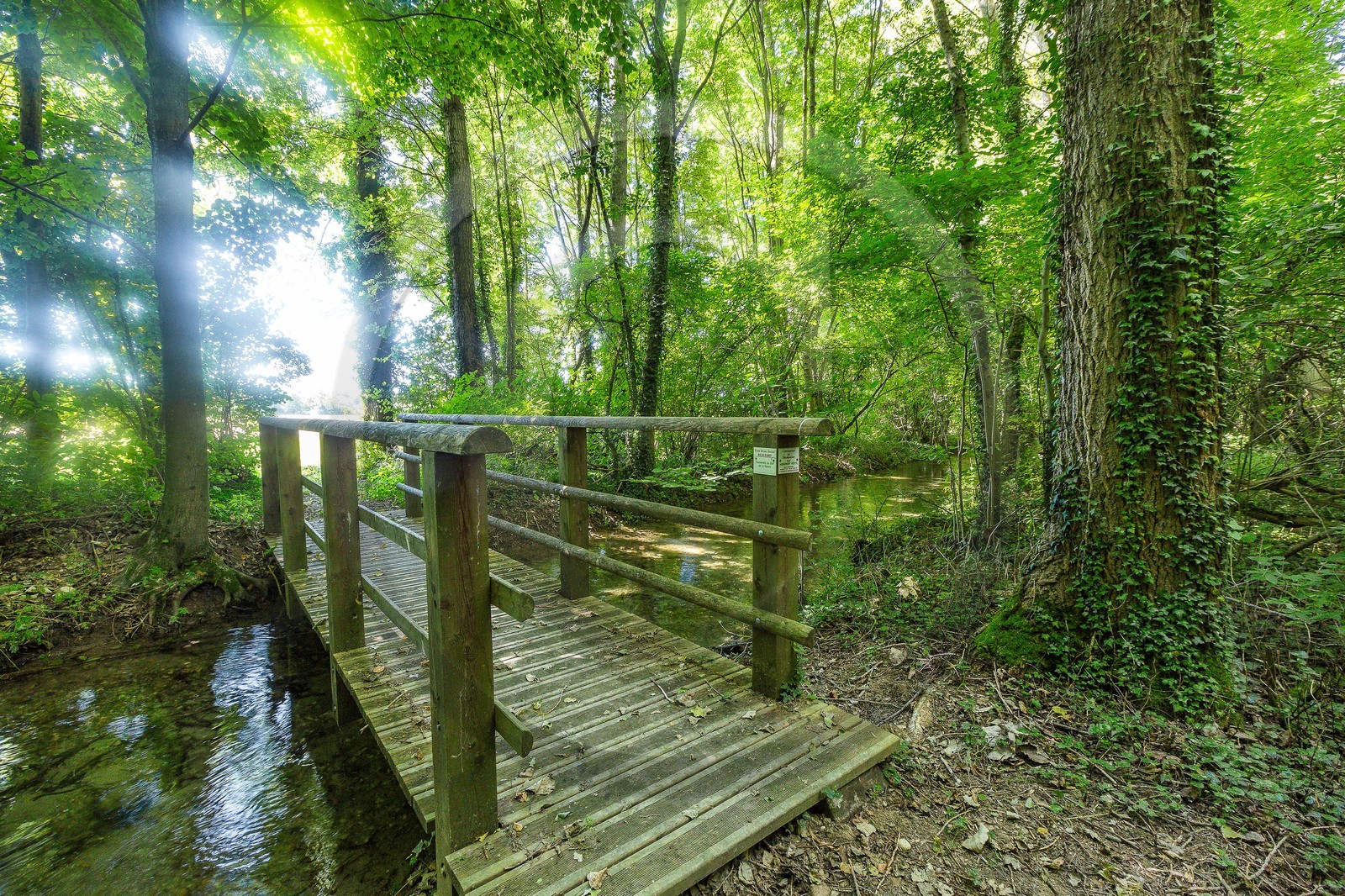 ENS de l'Isère, Les Fontaines de Beaufort