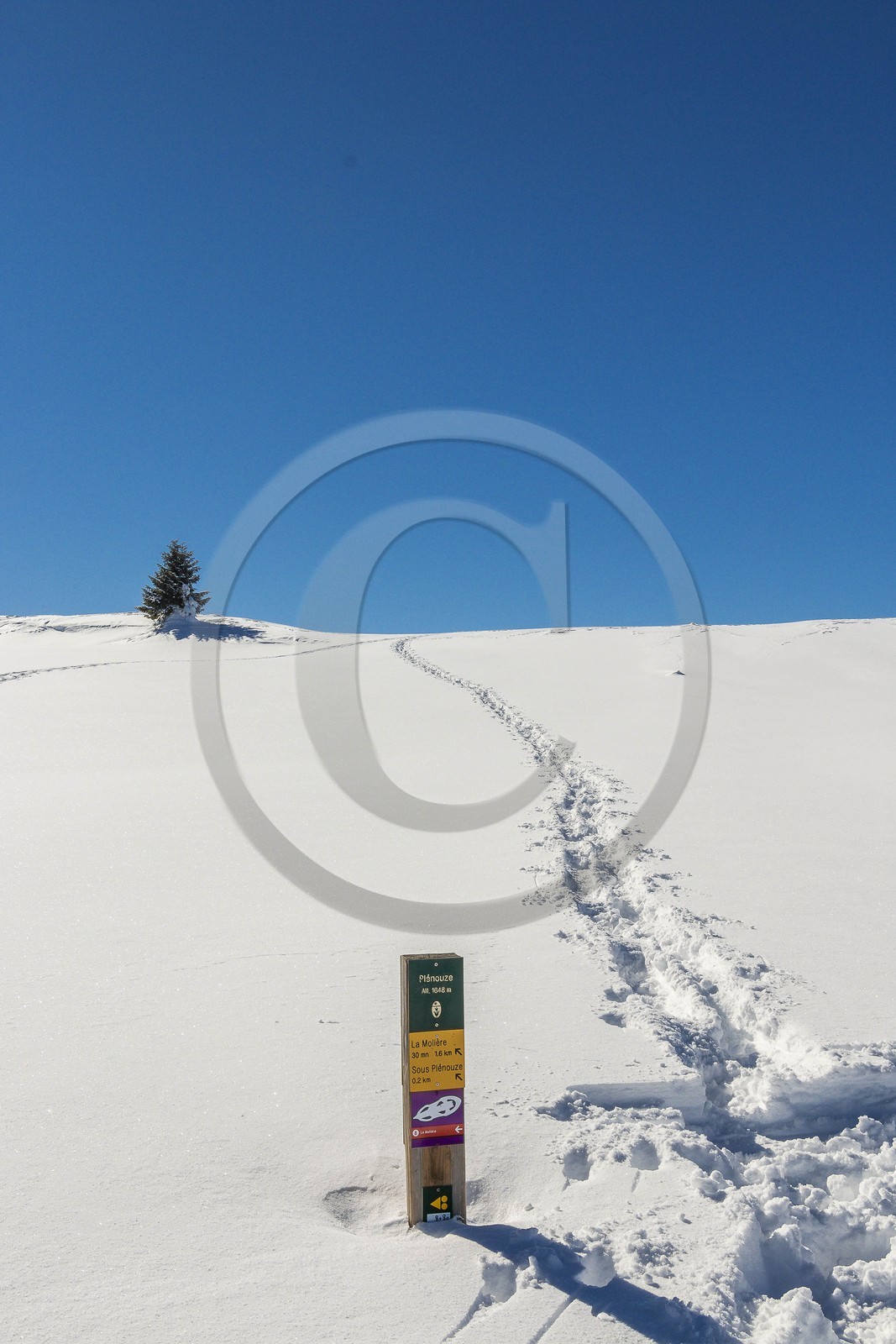 ENS de l'Isère, Plateau de la Molière et du Sornin