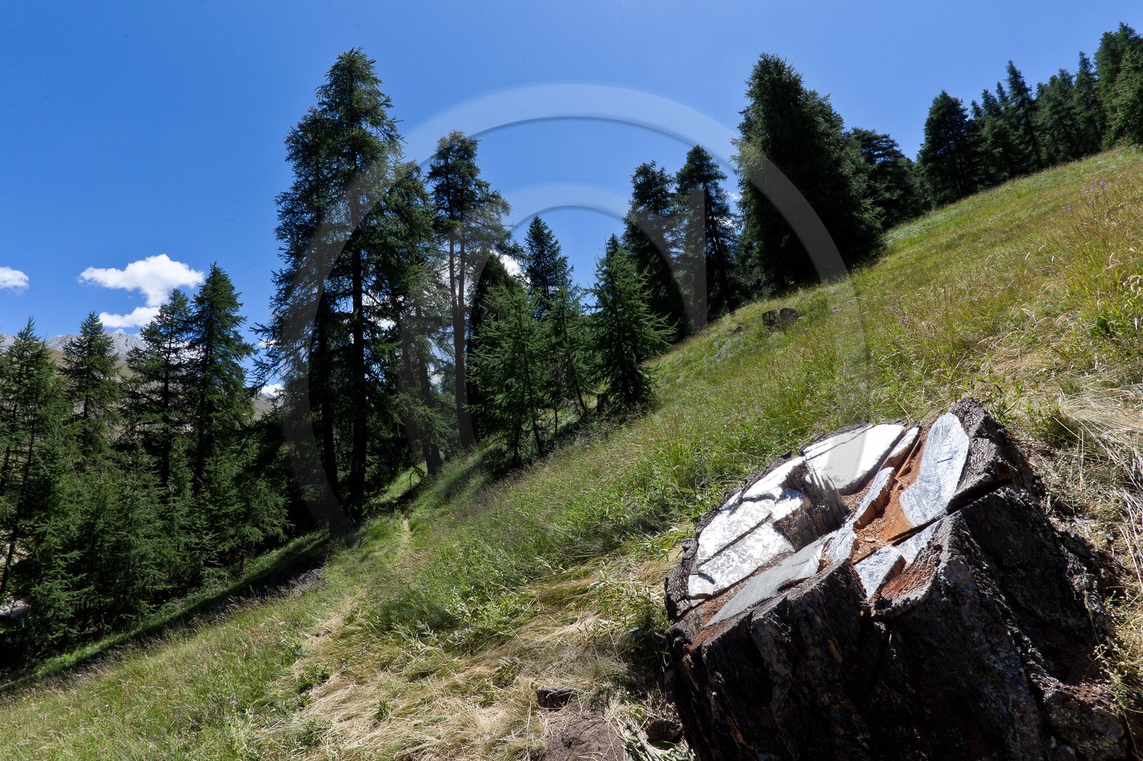 Sentiers Art et Nature Queyras et Val Varaita, Peter Gross