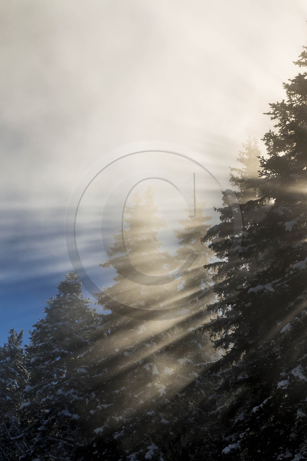 ENS de l'Isère, Plateau de la Molière et du Sornin
