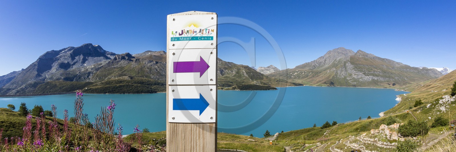 Jardin alpin du Mont-Cenis