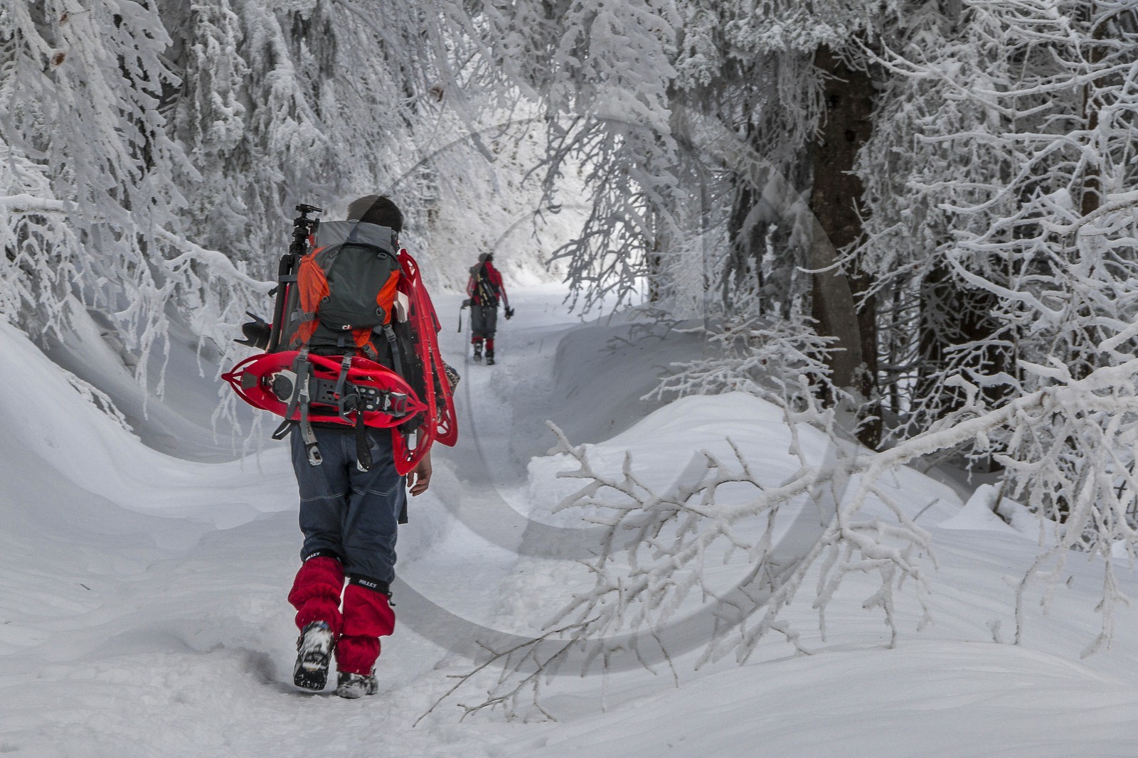 ENS de l'Isère, Les Ecouges