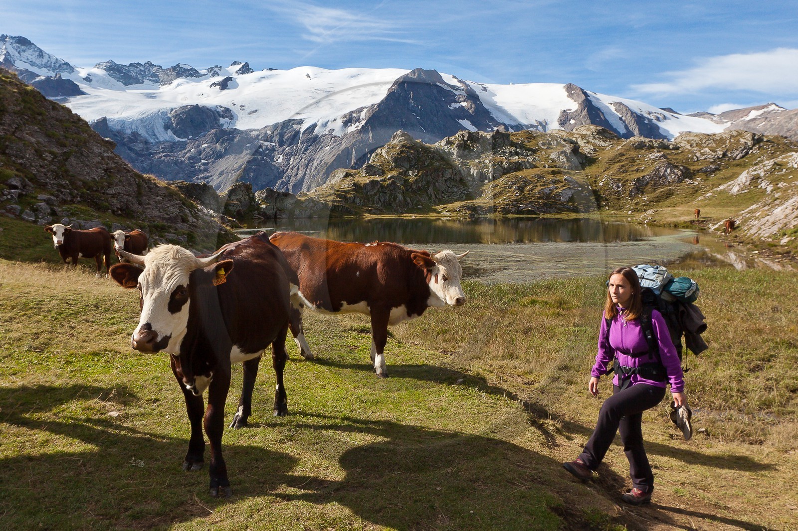 Plateau d'Emparis, Lac Lérié