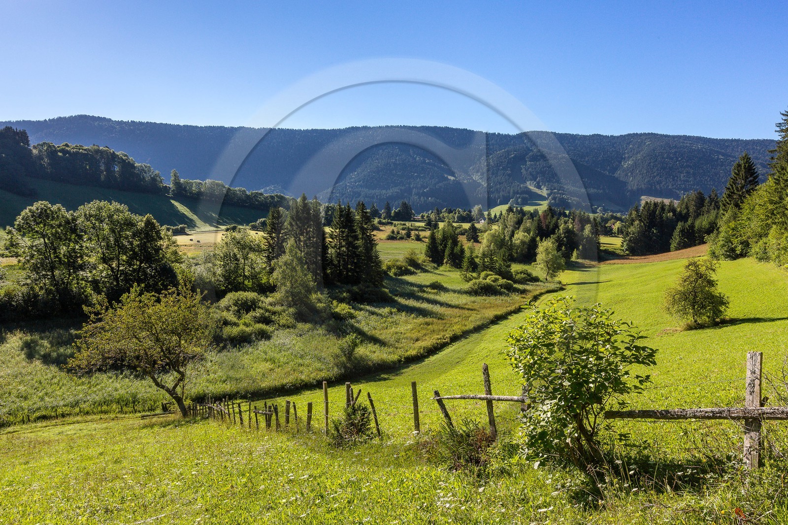 ENS de l'Isère, Marais des Sagnes
