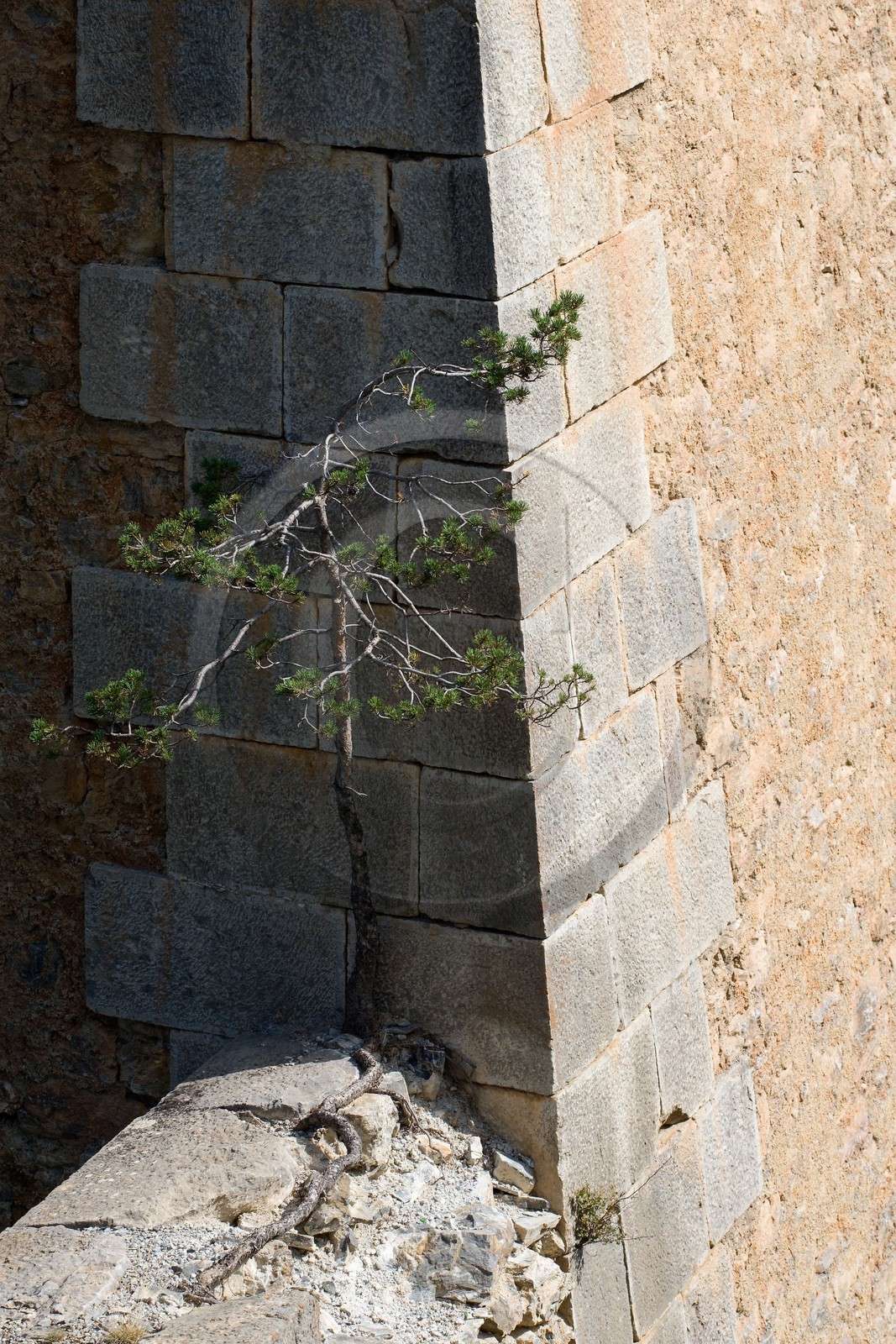 Briançon, Fort Dauphin