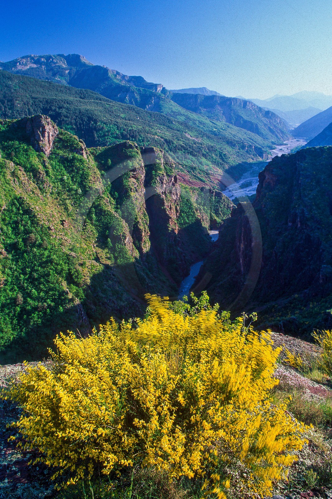 Gorges de Daluis