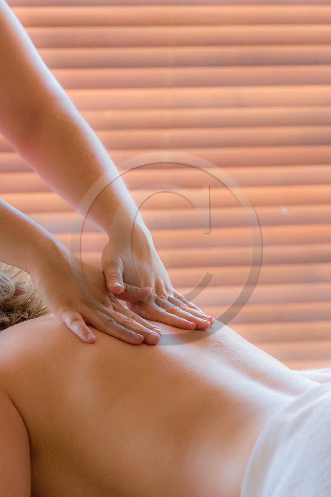 Hôtel restaurant spa Les Bartavelles