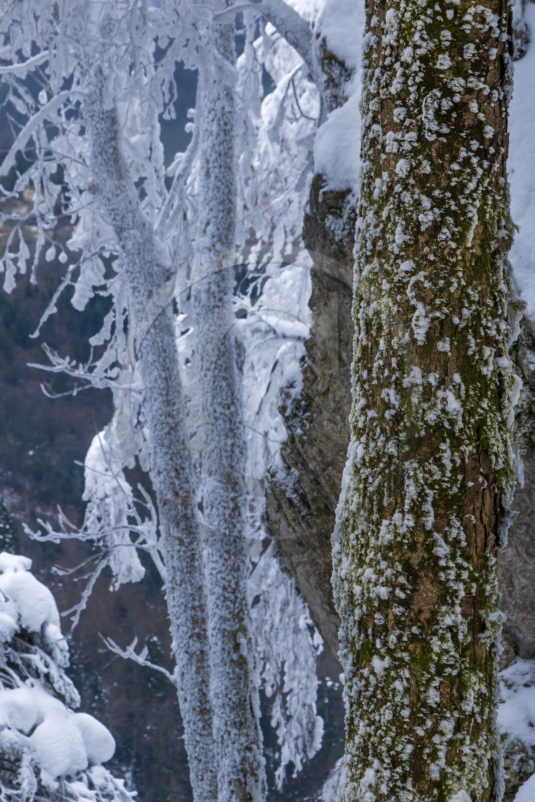 ENS de l'Isère, Les Ecouges