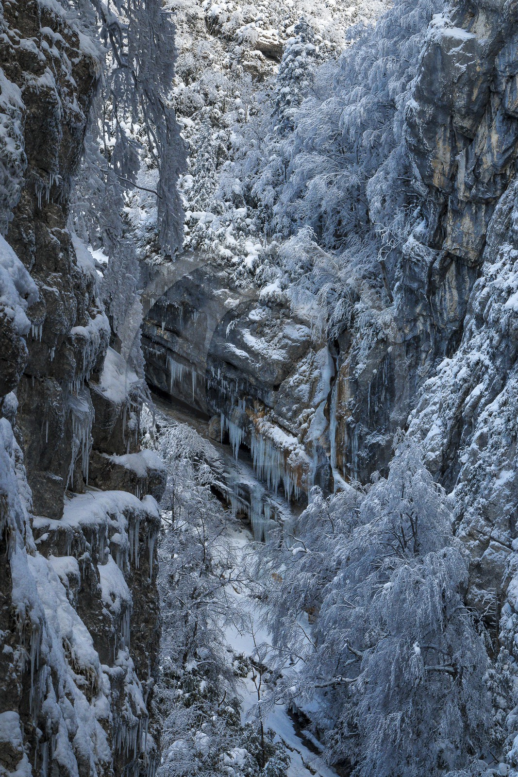 ENS de l'Isère, Les Ecouges