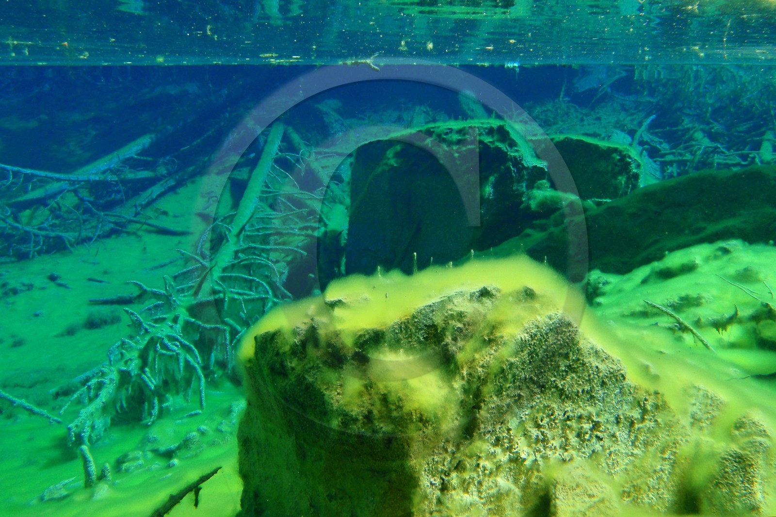 Lac Vert, vallée Etroite