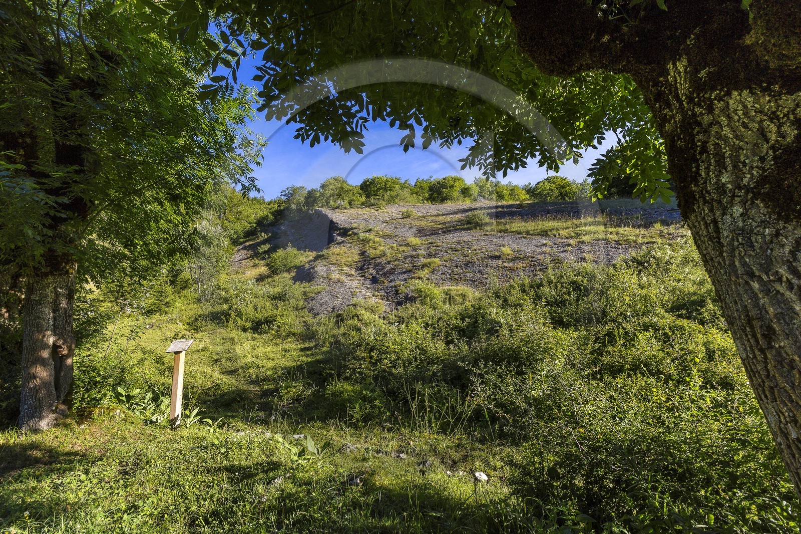 ENS de l'Isère, vallée fossile des Rimets