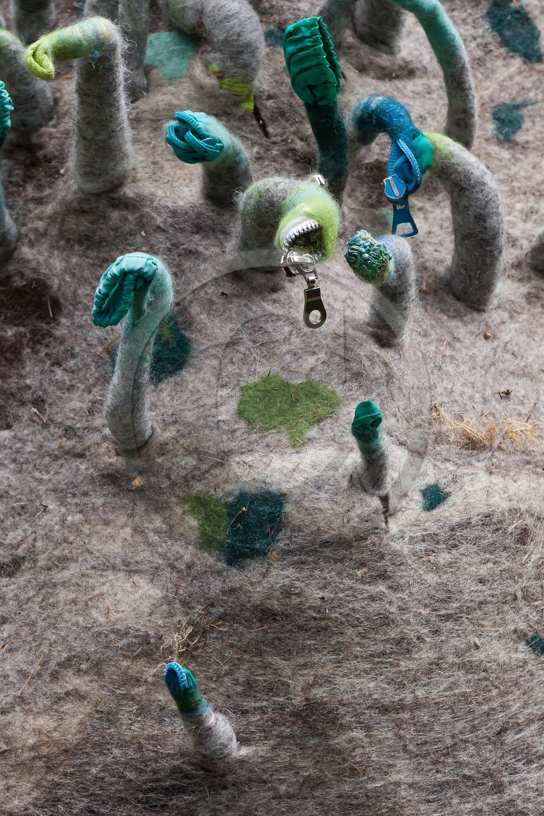 Sentiers Art et Nature Queyras et Val Varaita, Stéphanie Cailleau