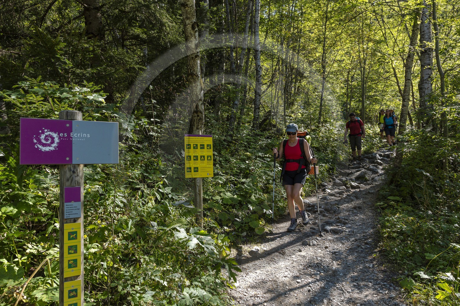 Randonnée pédestre sur le GR54