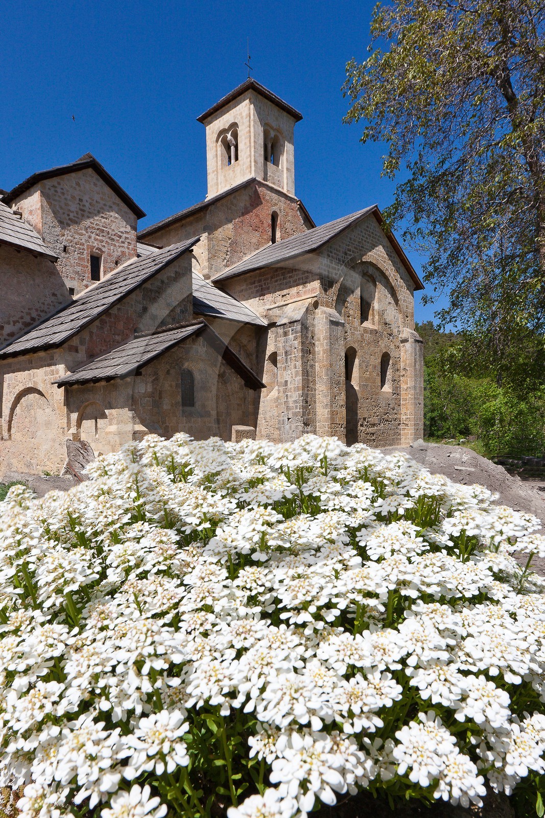 Abbaye Notre-Dame de Boscodon