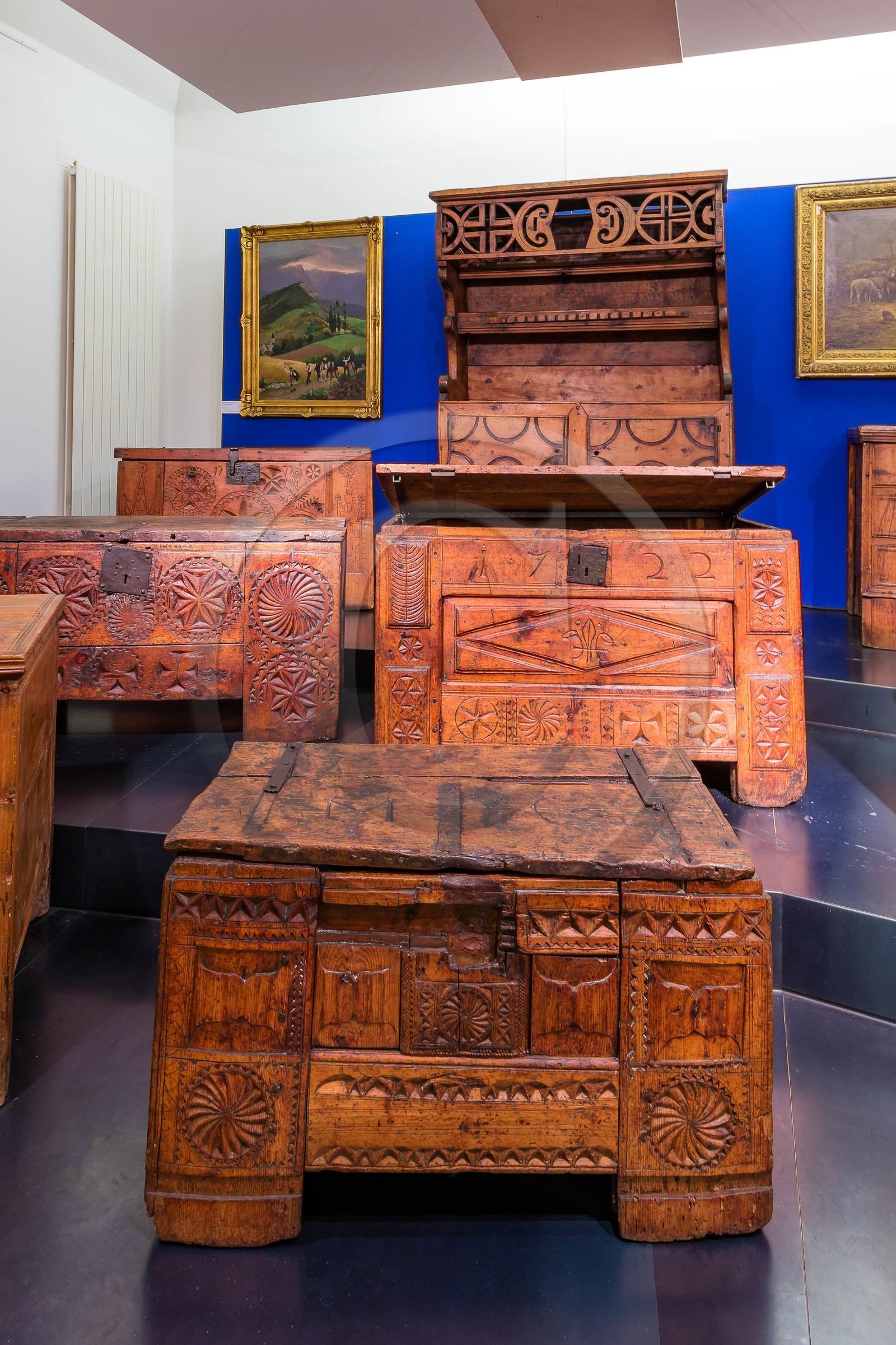 Gap, Musée Muséum départemental des Hautes-Alpes