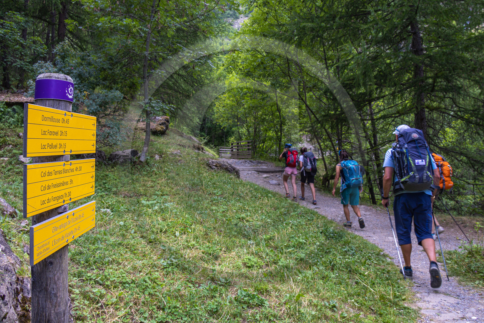 Vallée de Freissinières