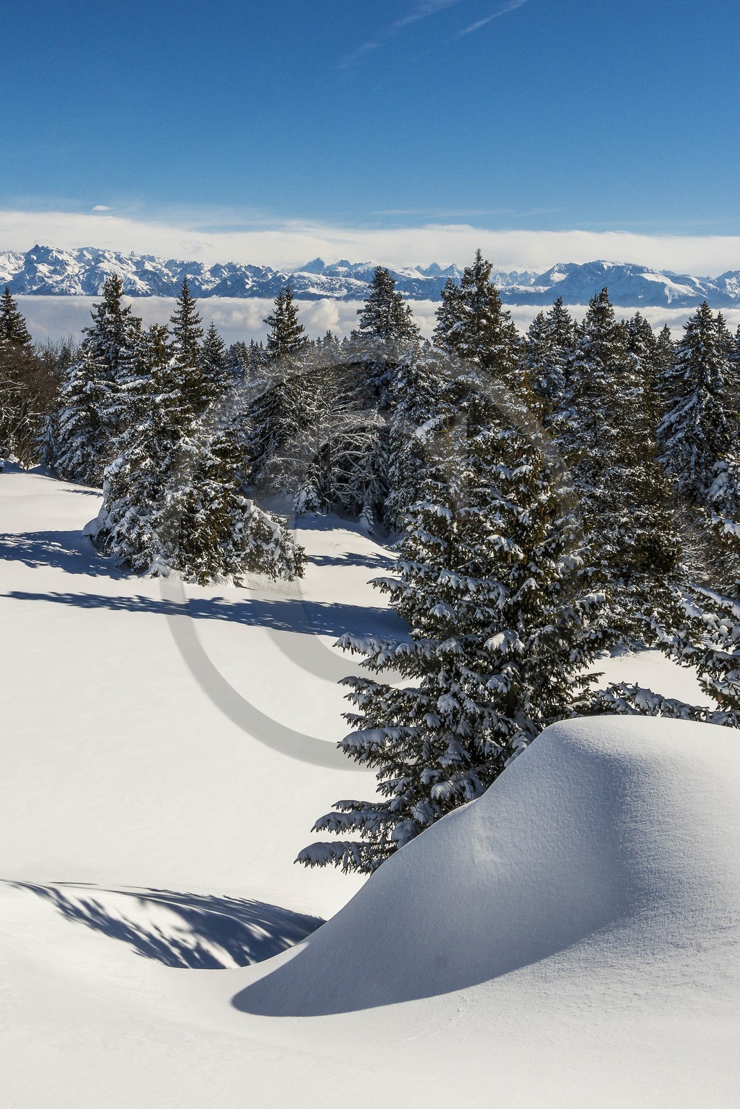 ENS de l'Isère, Plateau de la Molière et du Sornin