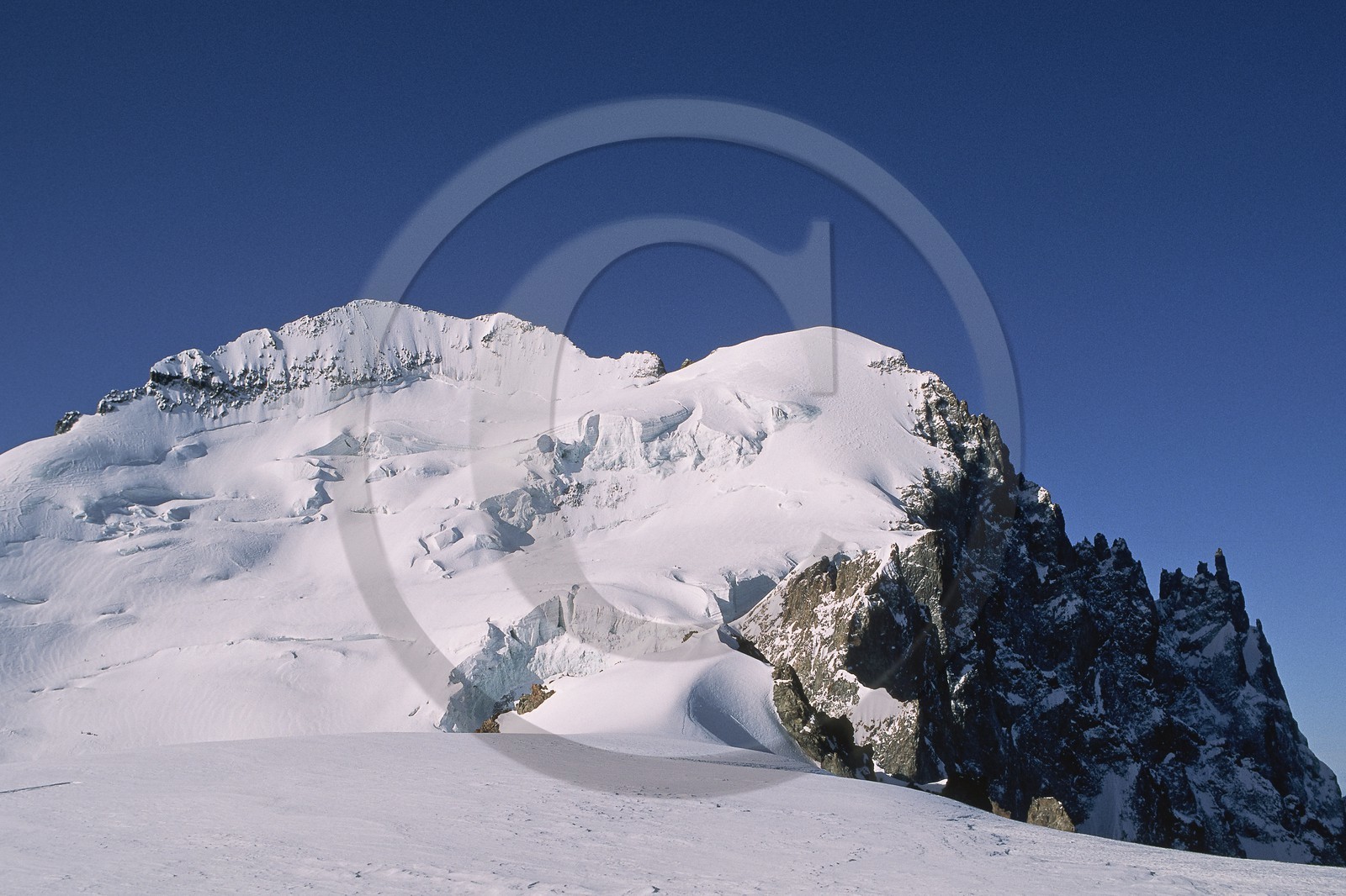 Barre des Ecrins