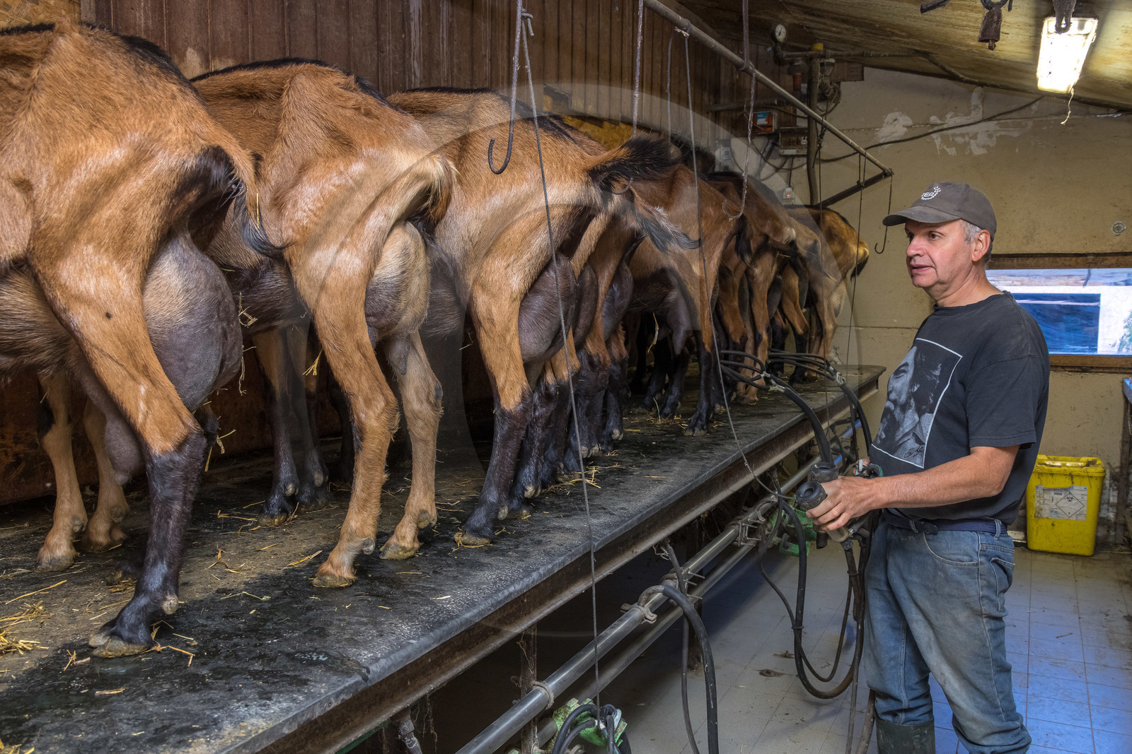 Gaec La Ferme des Ecrins