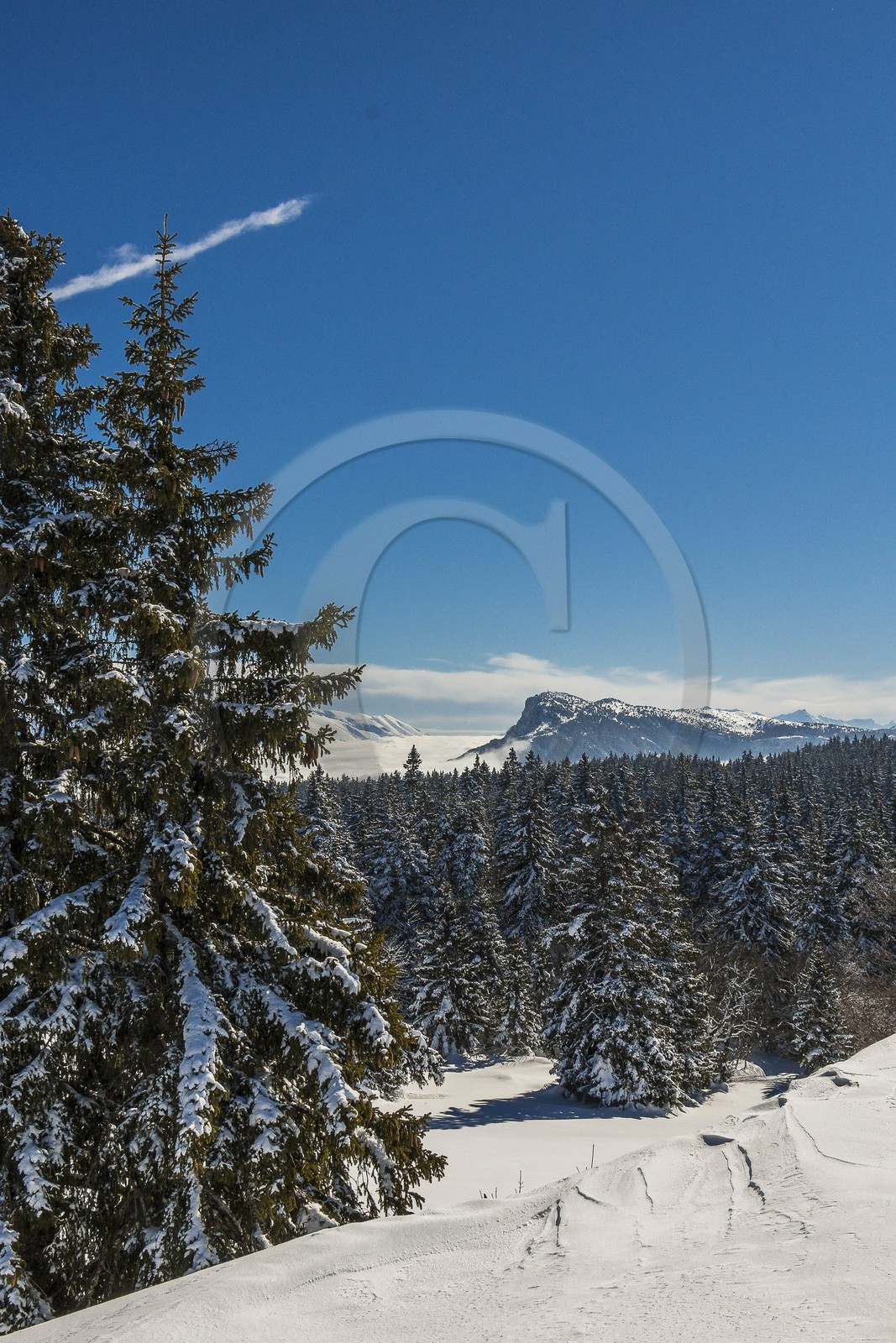 ENS de l'Isère, Plateau de la Molière et du Sornin