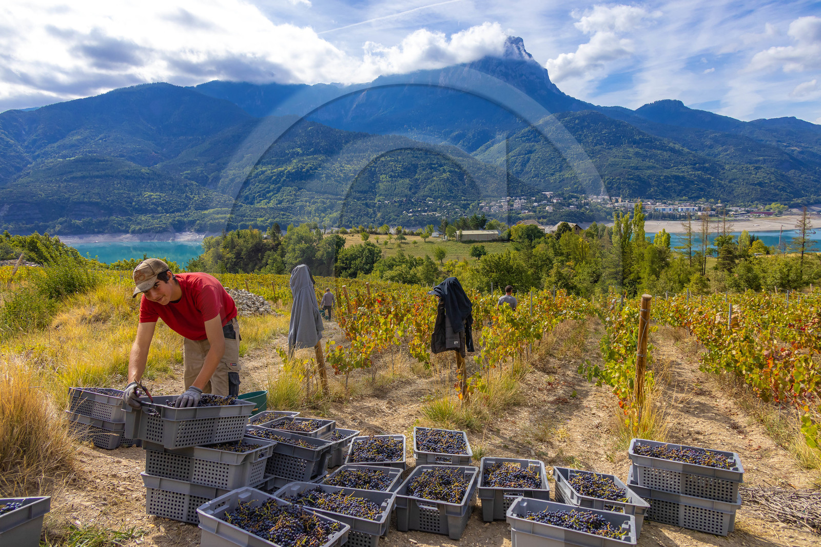 Domaine du Mont Guillaume