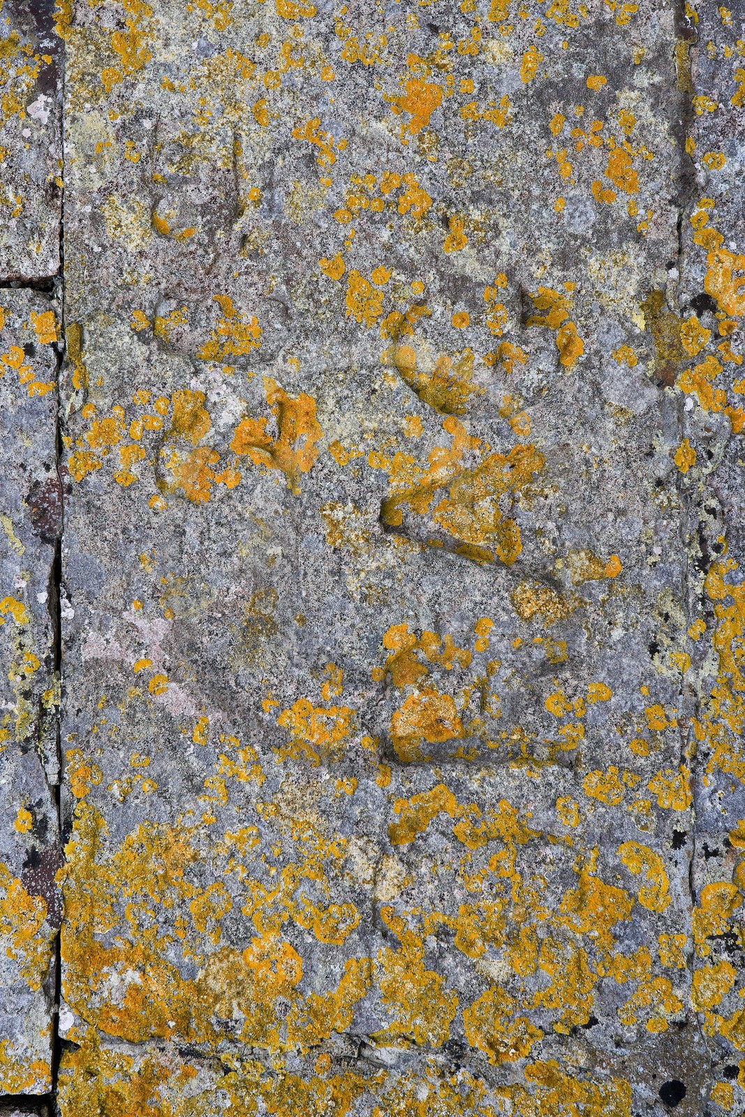 Saint-Martin-de-Ré, Fortifications Vauban inscrites au patrimoi