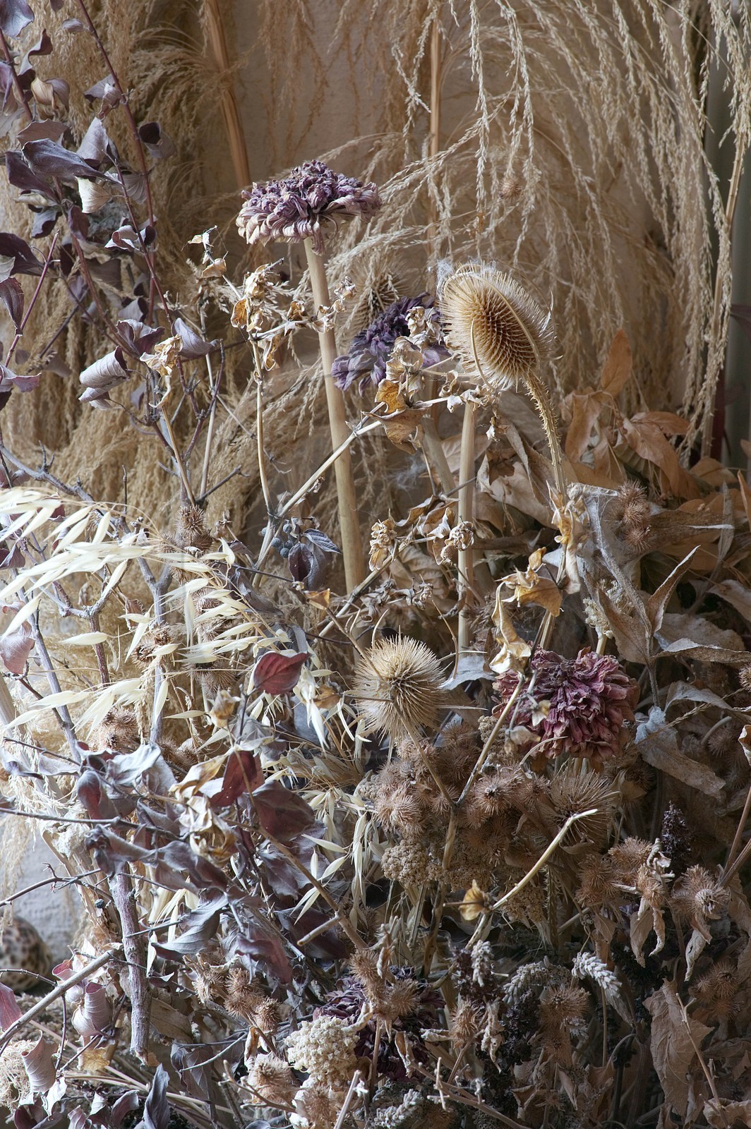 Saint-André de Rosans, Chambres et tables d'hôtes La Condamine