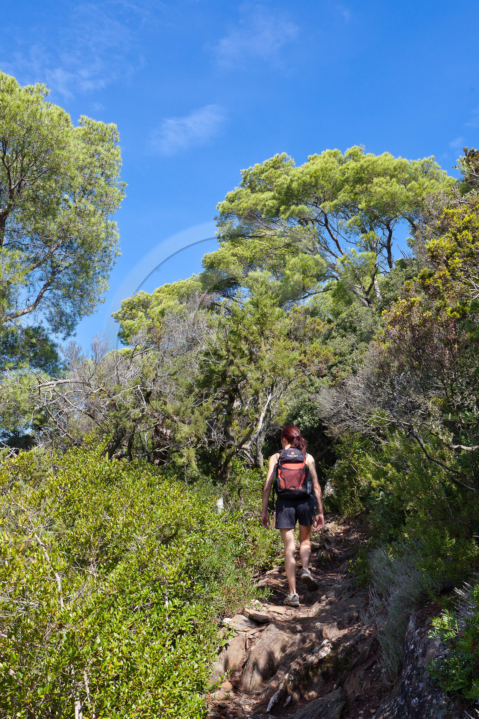 Parc national de Port-Cros, randonnée vers le Mont Vinaigre