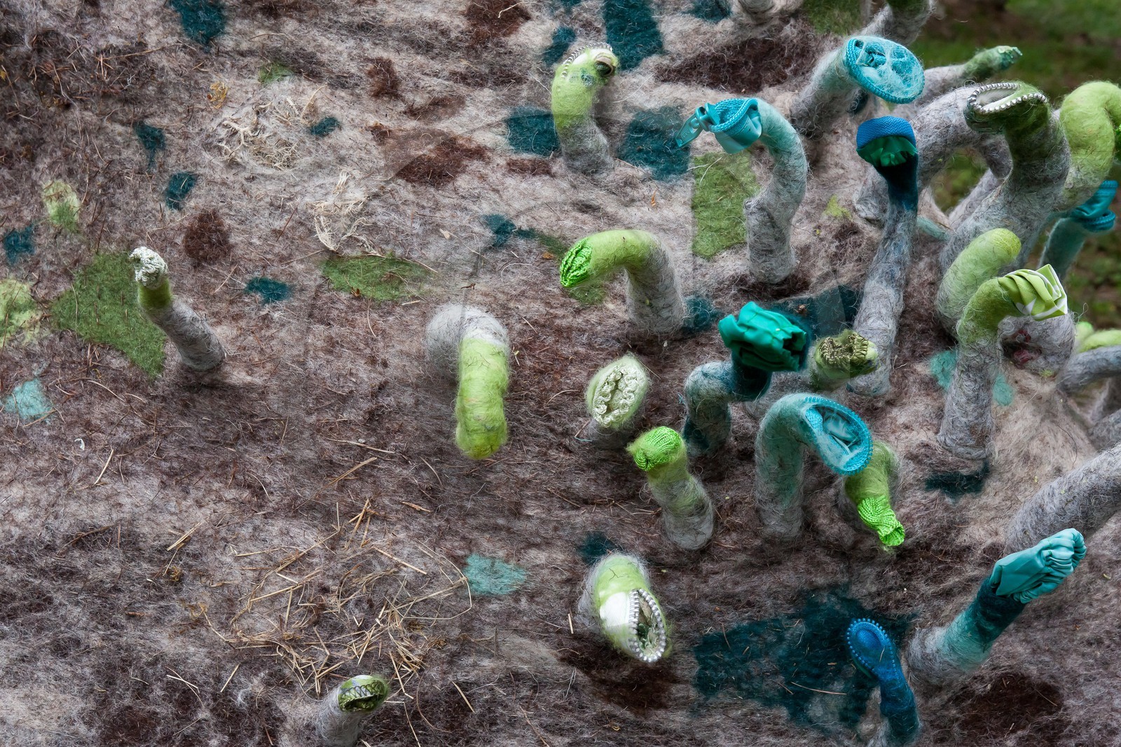 Sentiers Art et Nature Queyras et Val Varaita, Stéphanie Cailleau