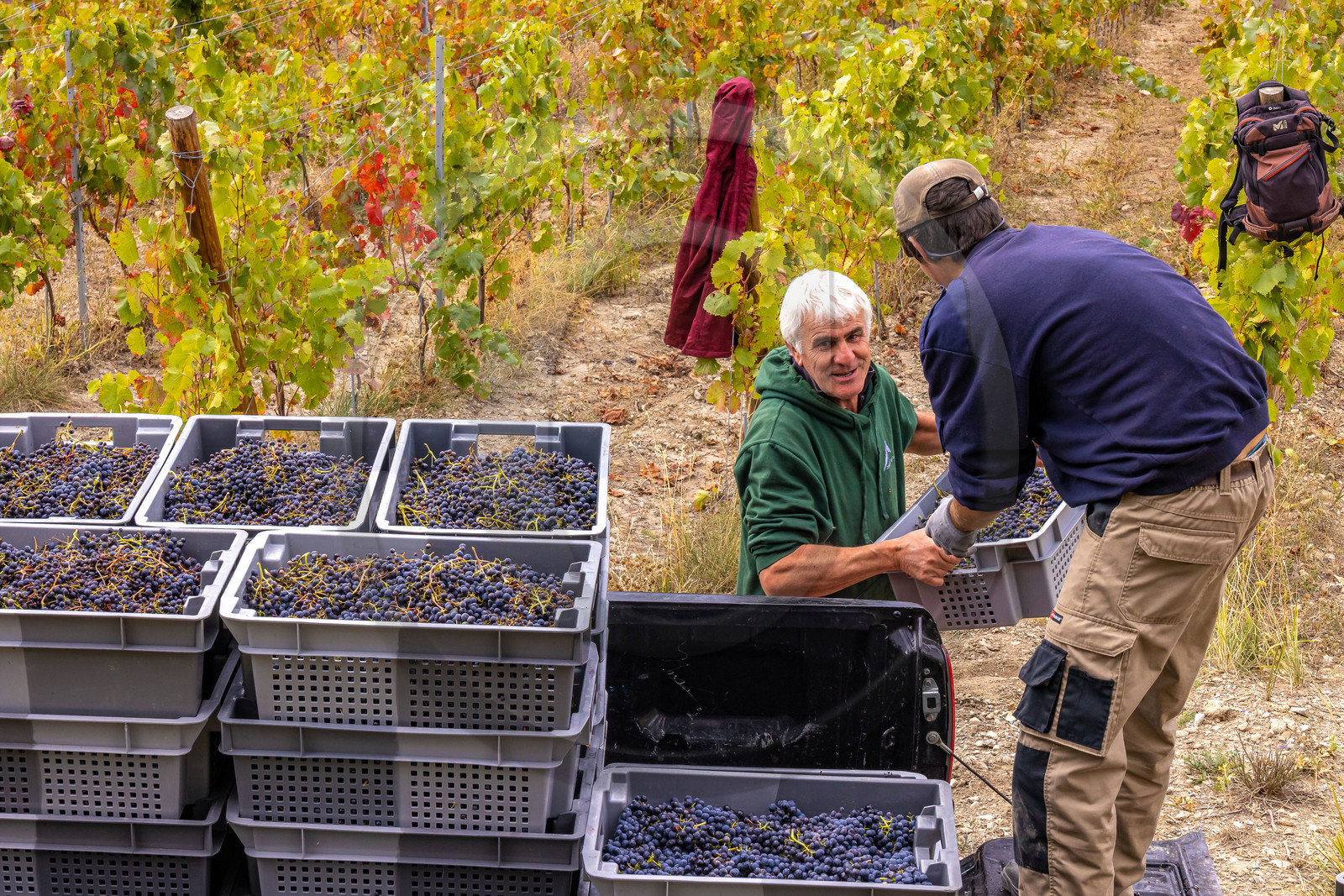 Domaine du Mont Guillaume