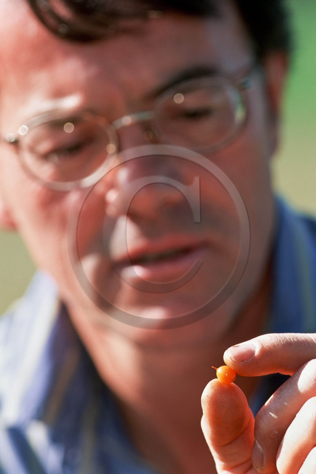 Jean-François Gonfard