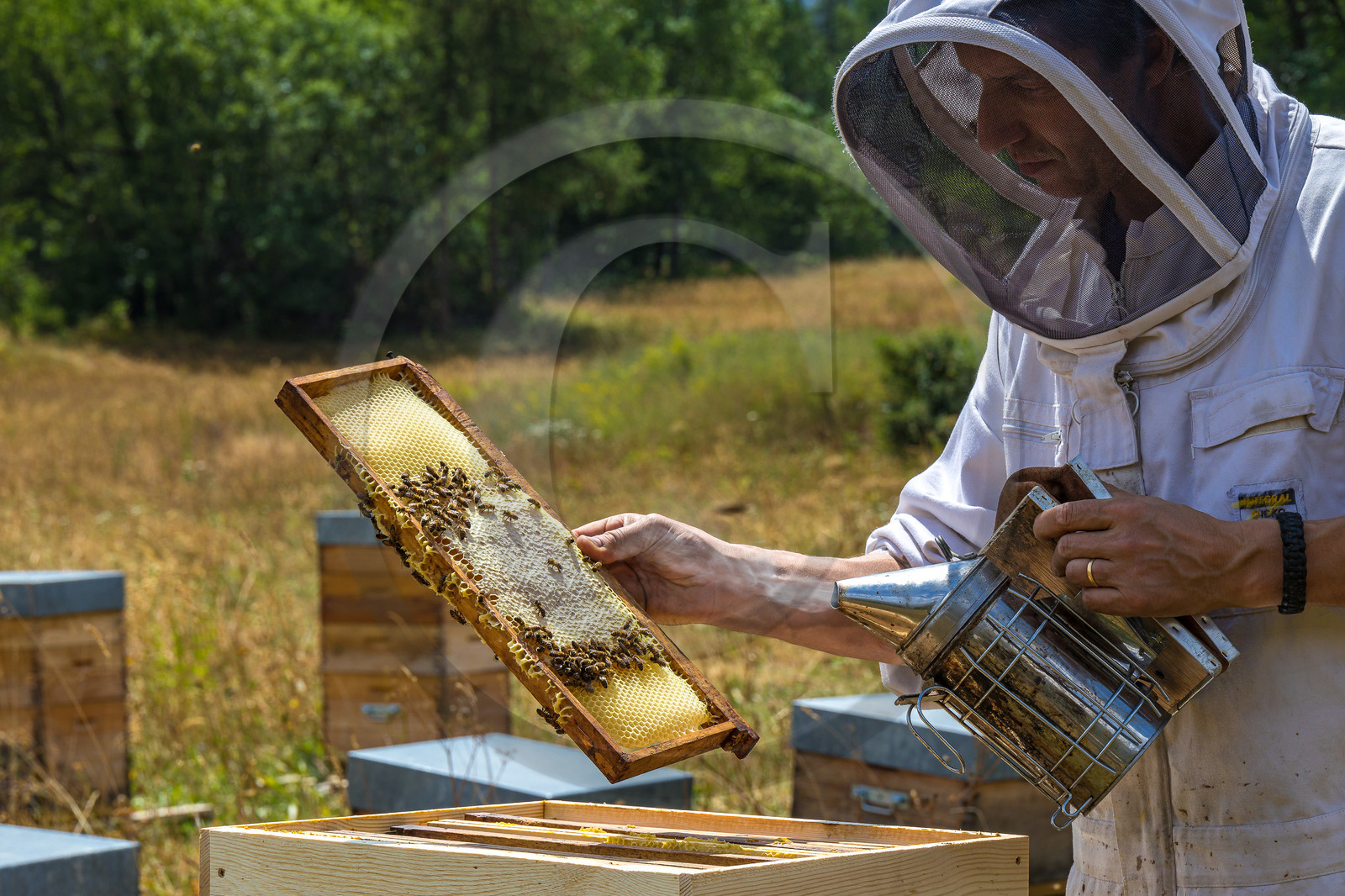 Miellerie de Serre Chevalier