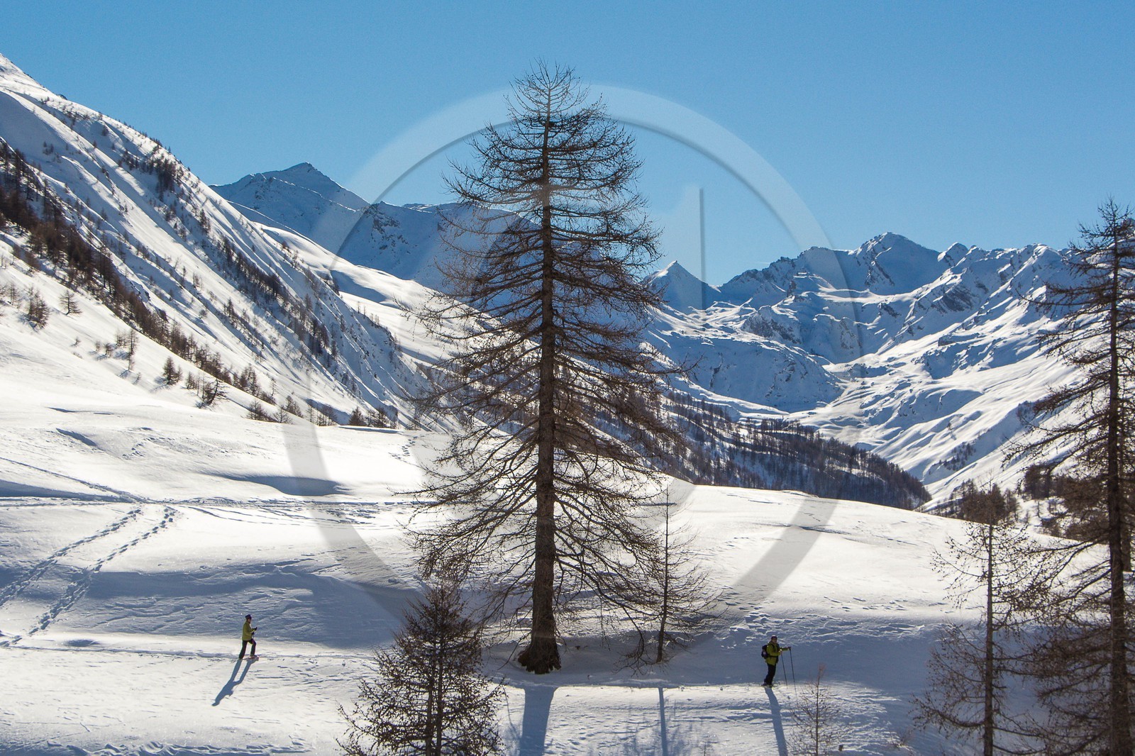 Col de Larche, vallon du lauzanier, randonnée raquettes