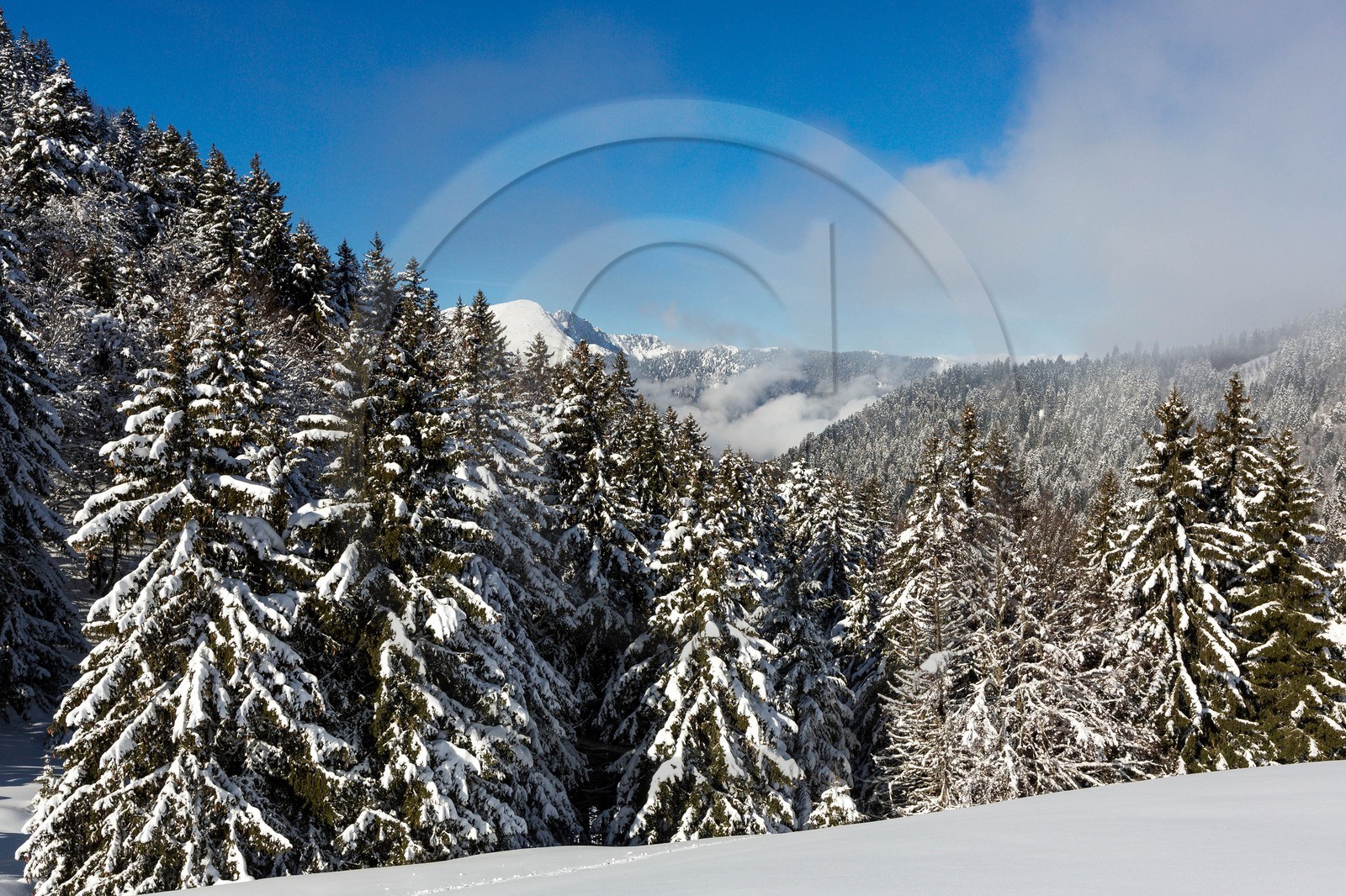 Espace naturel sensible de l'Isère, Col du Coq