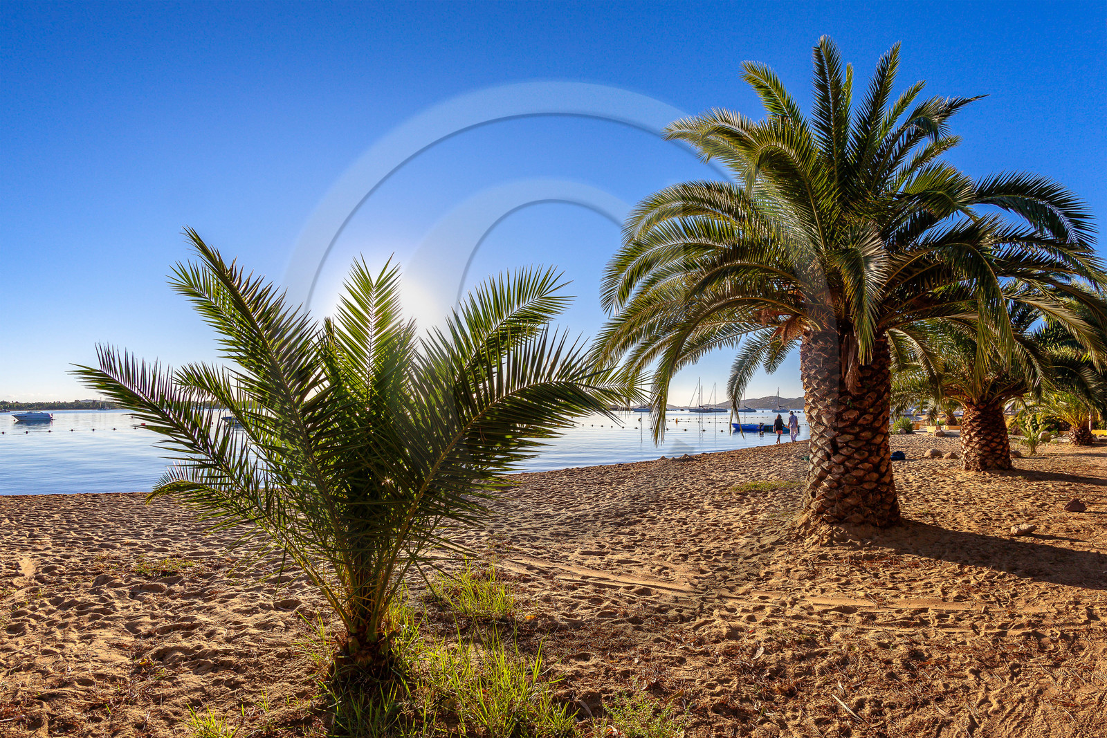 Porto-Vecchio, baie de Stagnolu