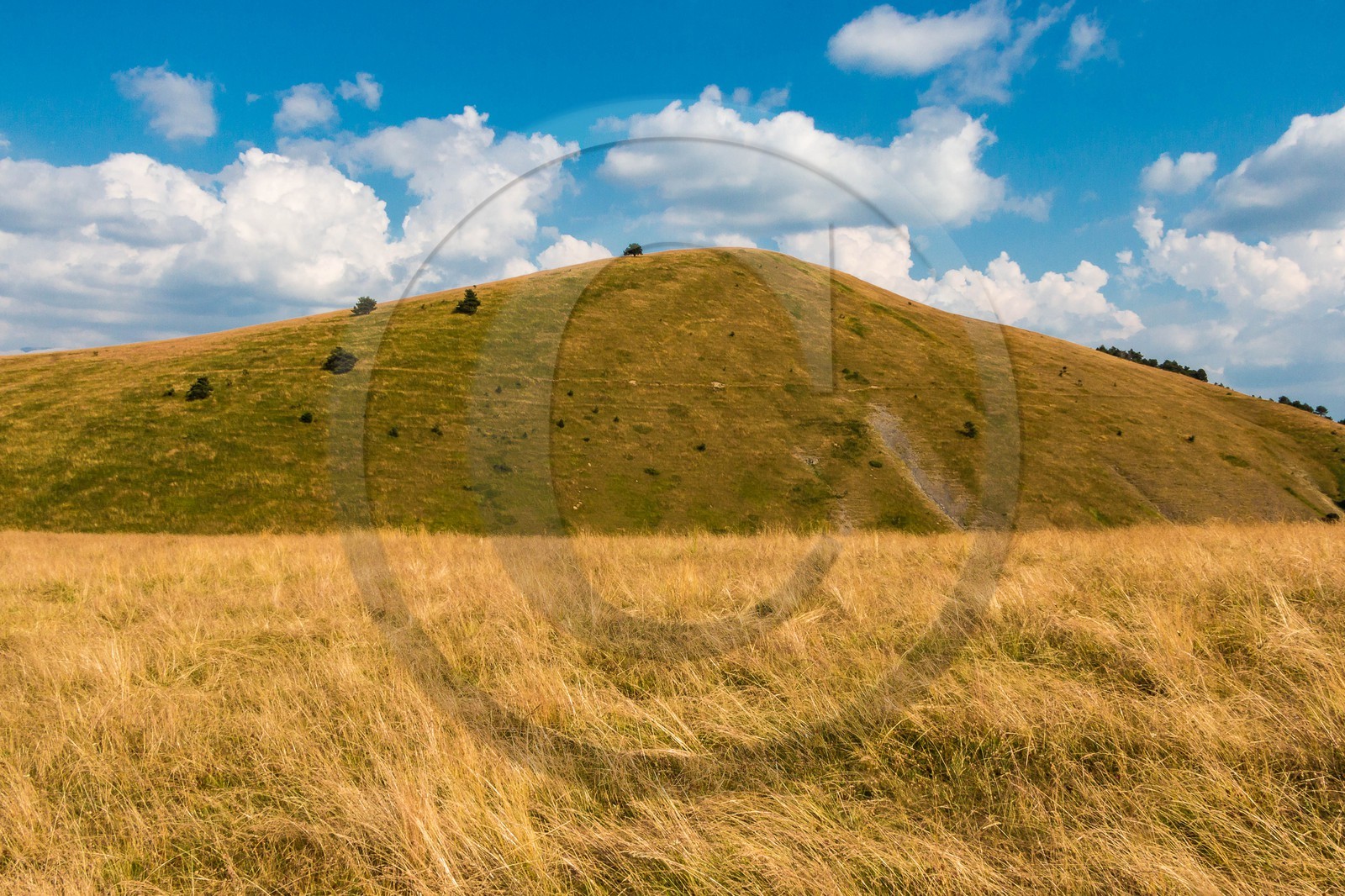 Les Monges, col de Combanière, les Aneliers