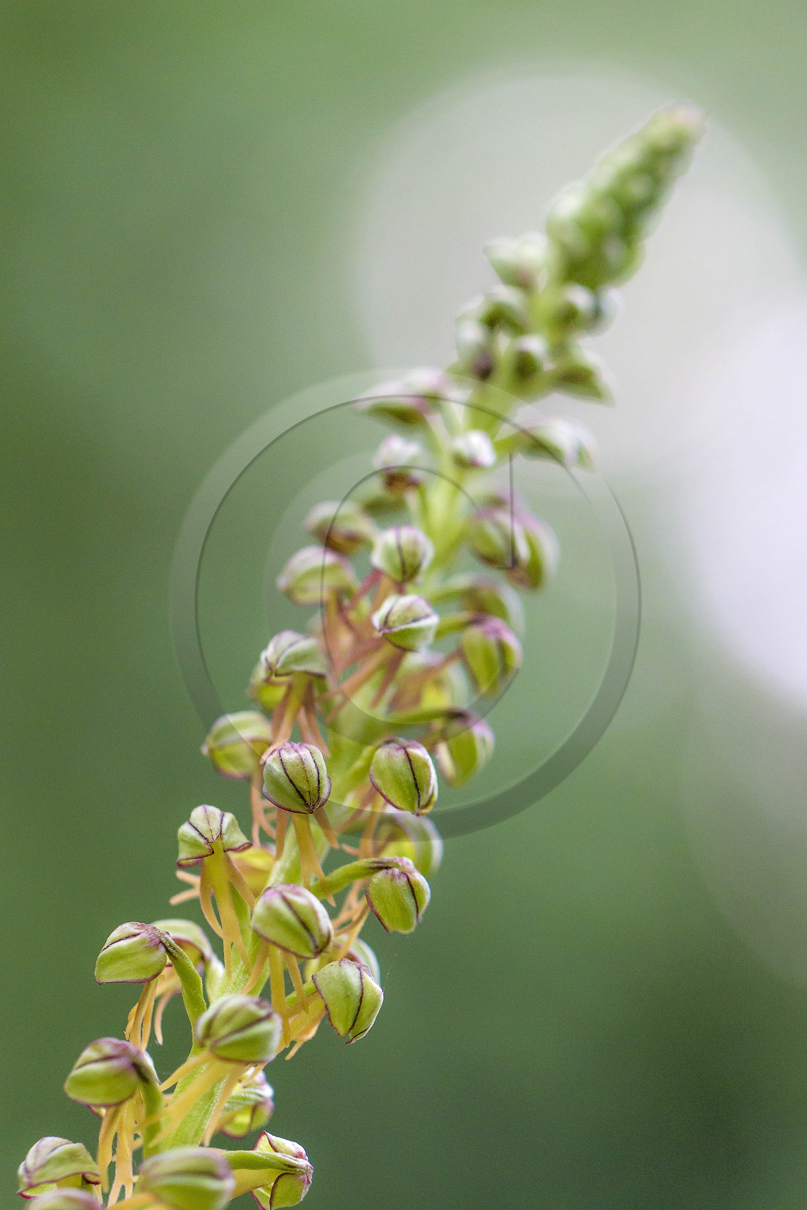 Terre Vivante, stage photo macro nature avec le photographe professionnel Bertrand Bodin