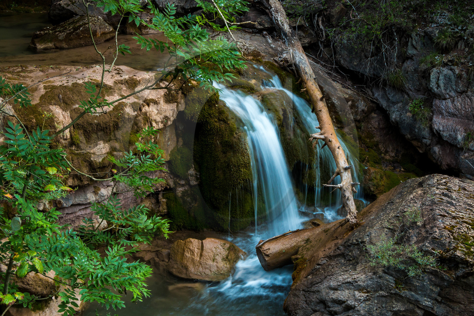 Torrent le Riou du Pont