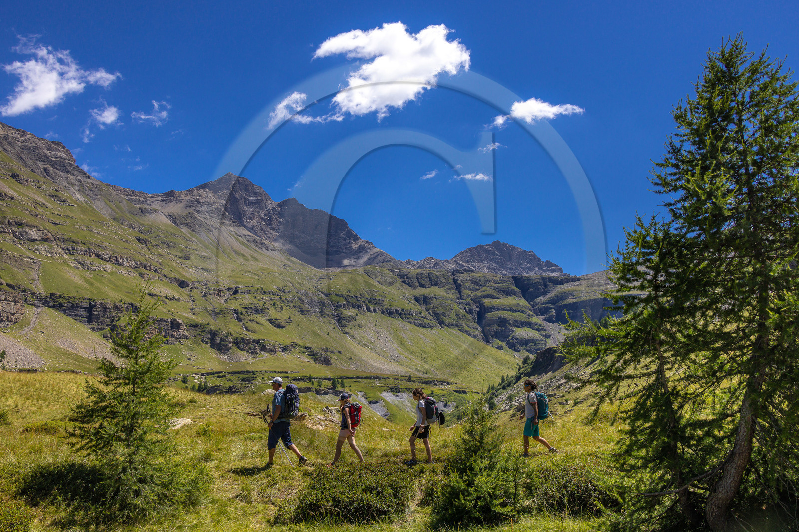 Vallée de Freissinières