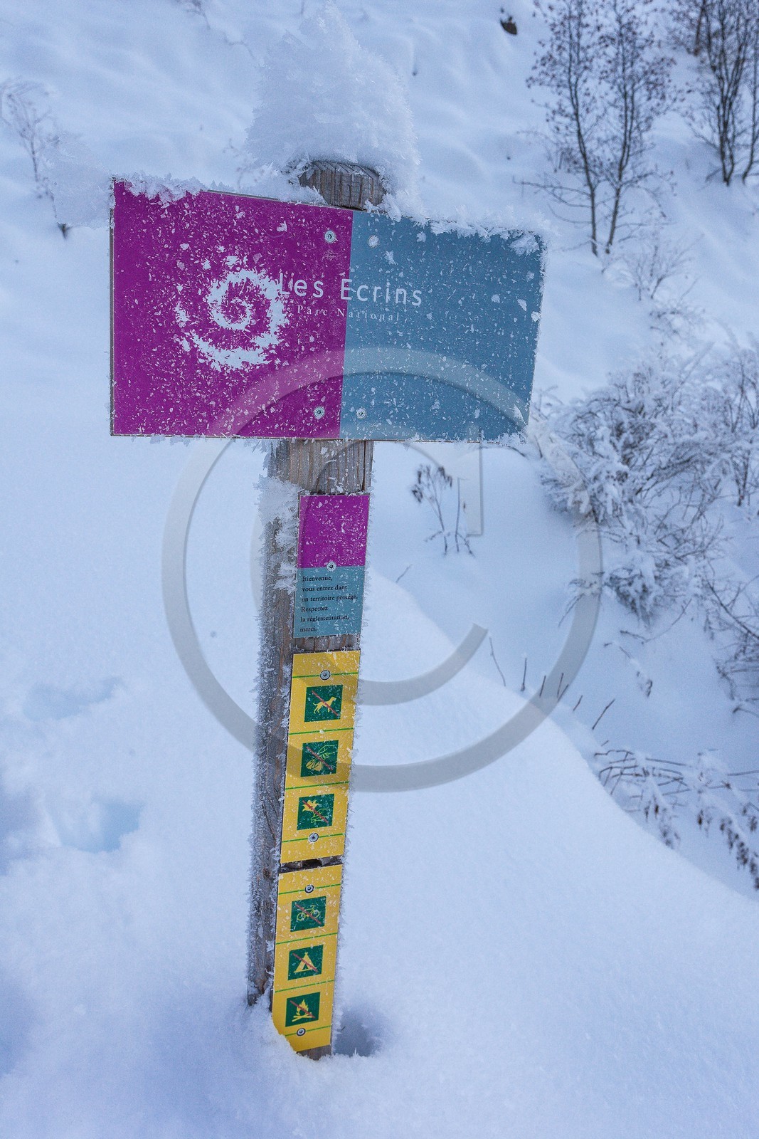 Vallée du Valgaudemar, Rivière la Séveraisse