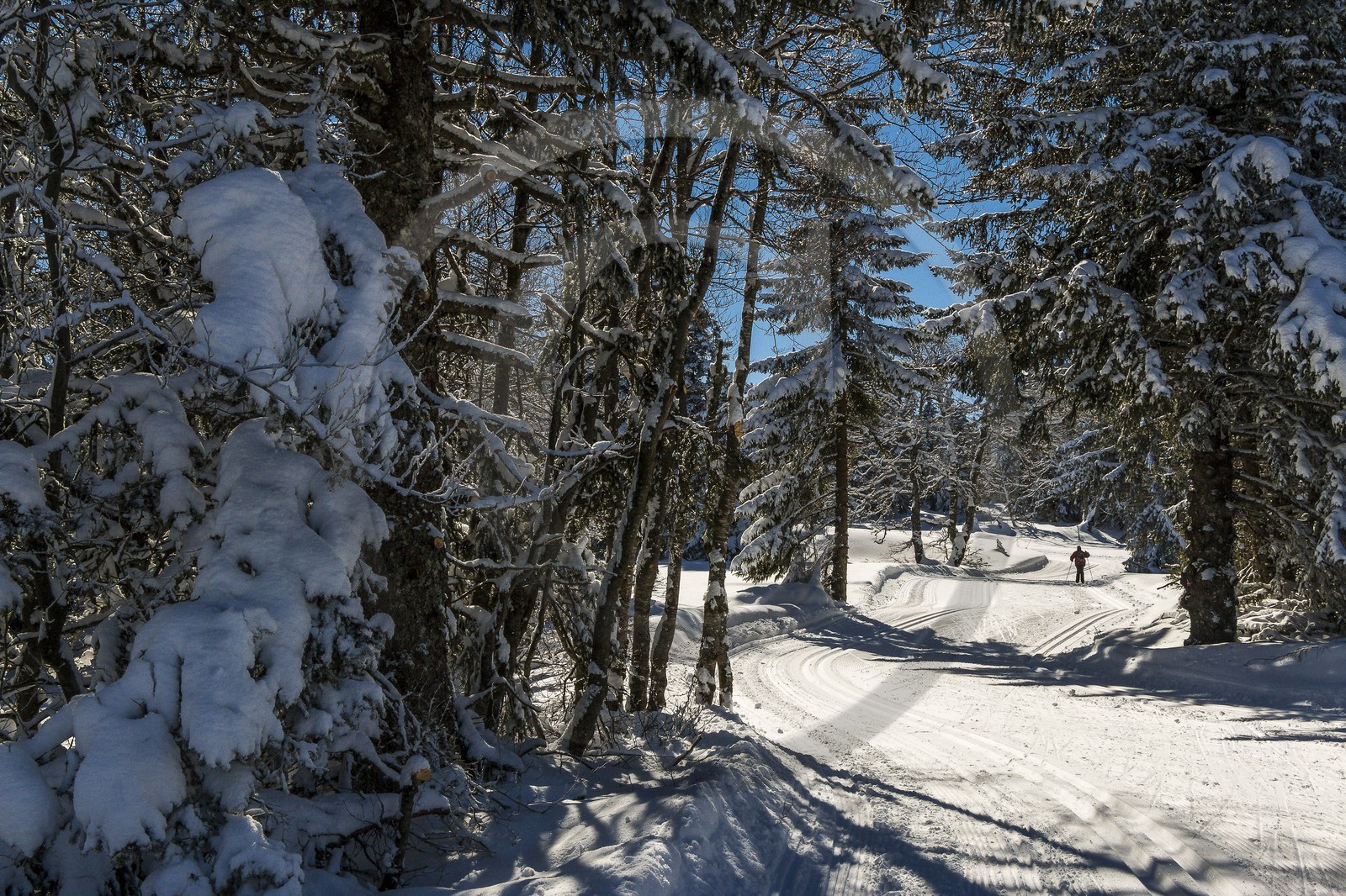 ENS de l'Isère, Plateau de la Molière et du Sornin